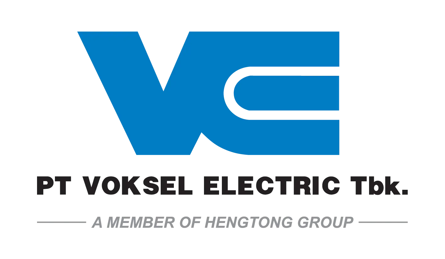 VOKSEL ELECTRIC